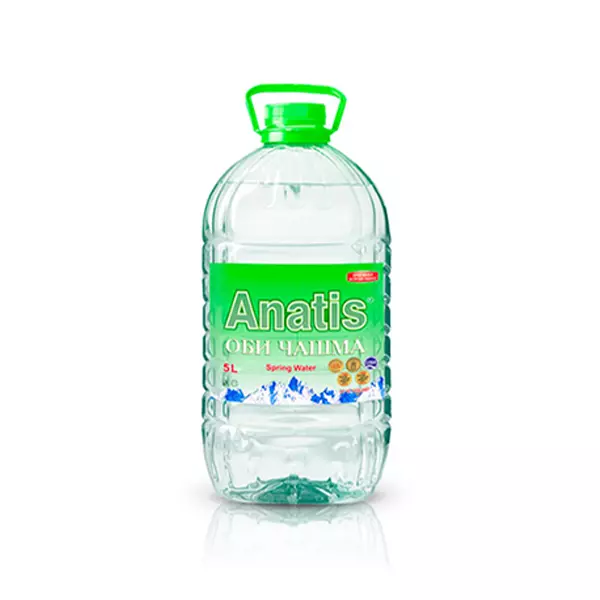 ВОДА НЕГАЗ.АНАТИС 5Л