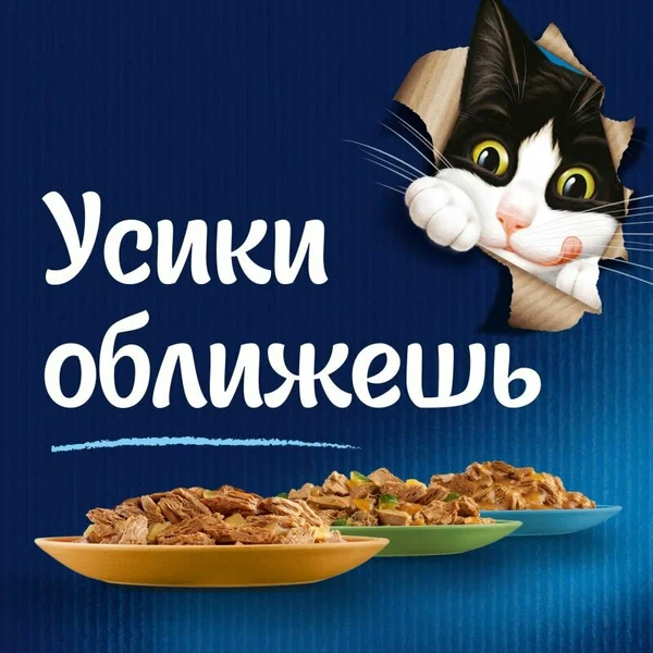 КОРМ ДЛЯ КОТ.FELIX WET CAT ГОВ. ТОМ.75Г